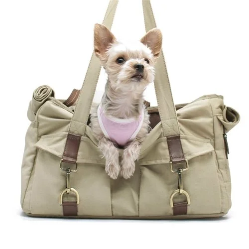 - Pet teething toy recommendationsBuckle Tote BB - Beige