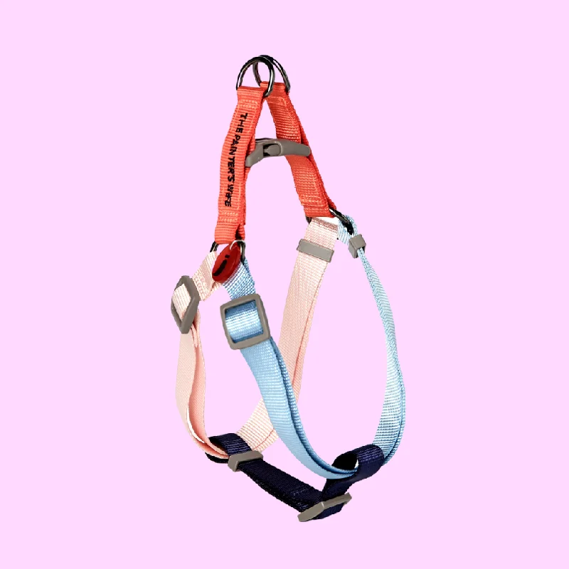 - Dog disposable foam shower gelSonia Dog Harness Vermillion and Cherry