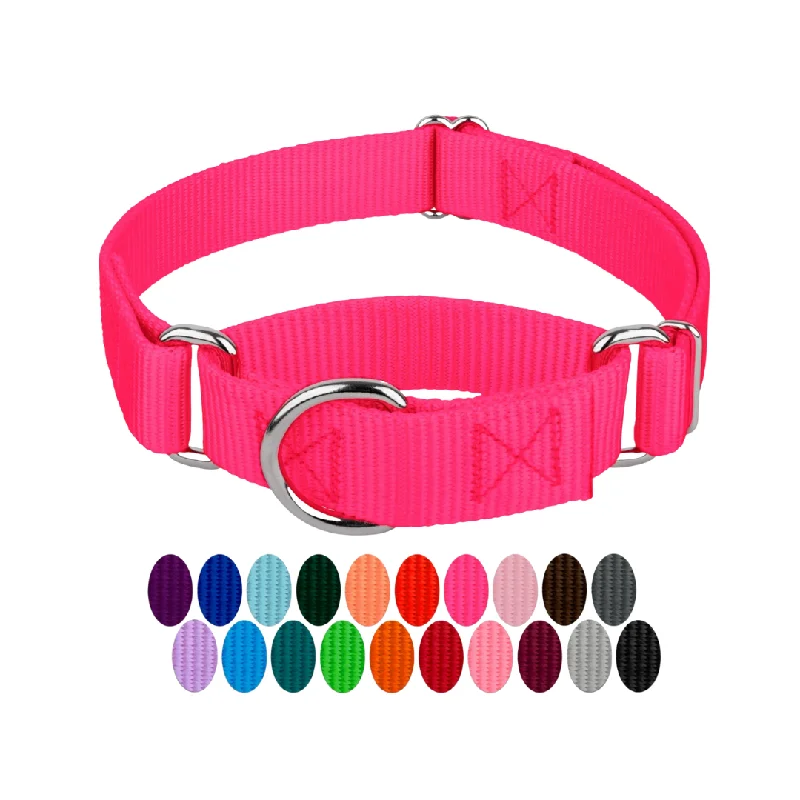 - Remote interactive pet feederMartingale Heavyduty Nylon Dog Collar