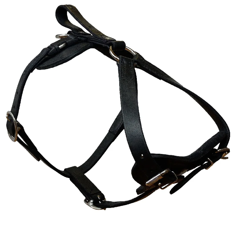 ---Padded Leather Quick Release Harness