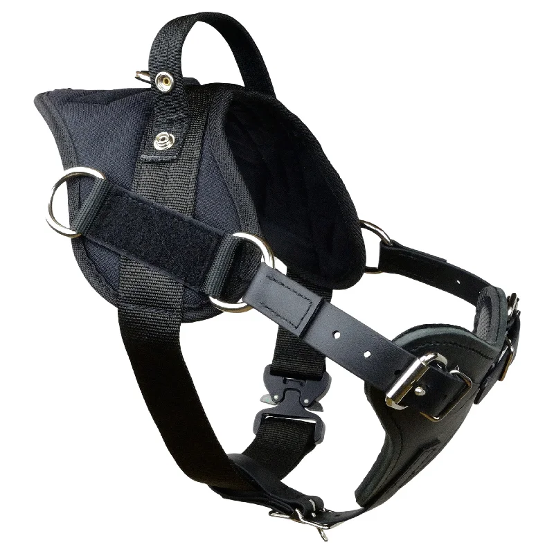 ---Yurkiw Harness With Cobra Buckle