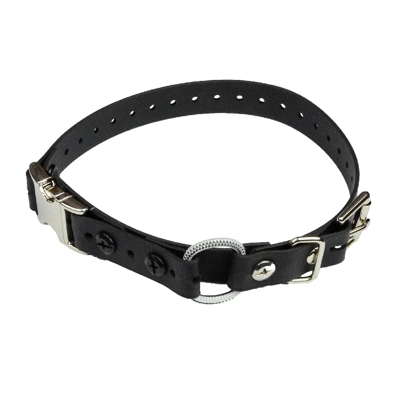 ---E-Collar Technologies Quick Snap Mini Bungee Collar For Small Dogs