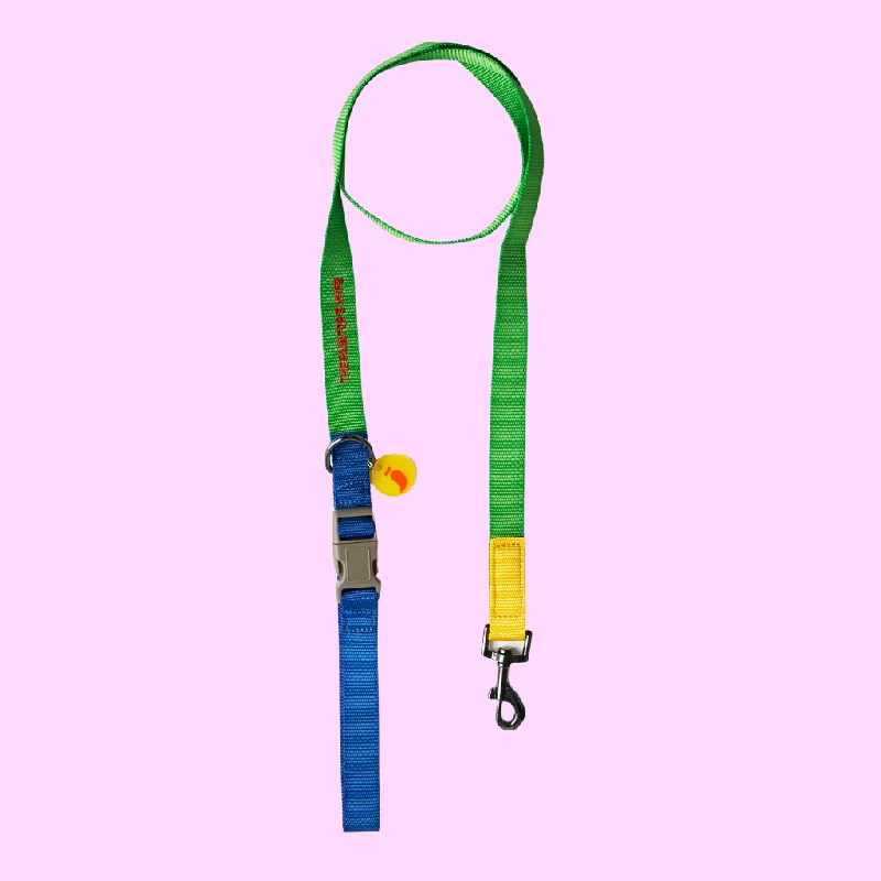 - Climbing pet constant temperature heating padSonia Dog Leash Yellow and Lime