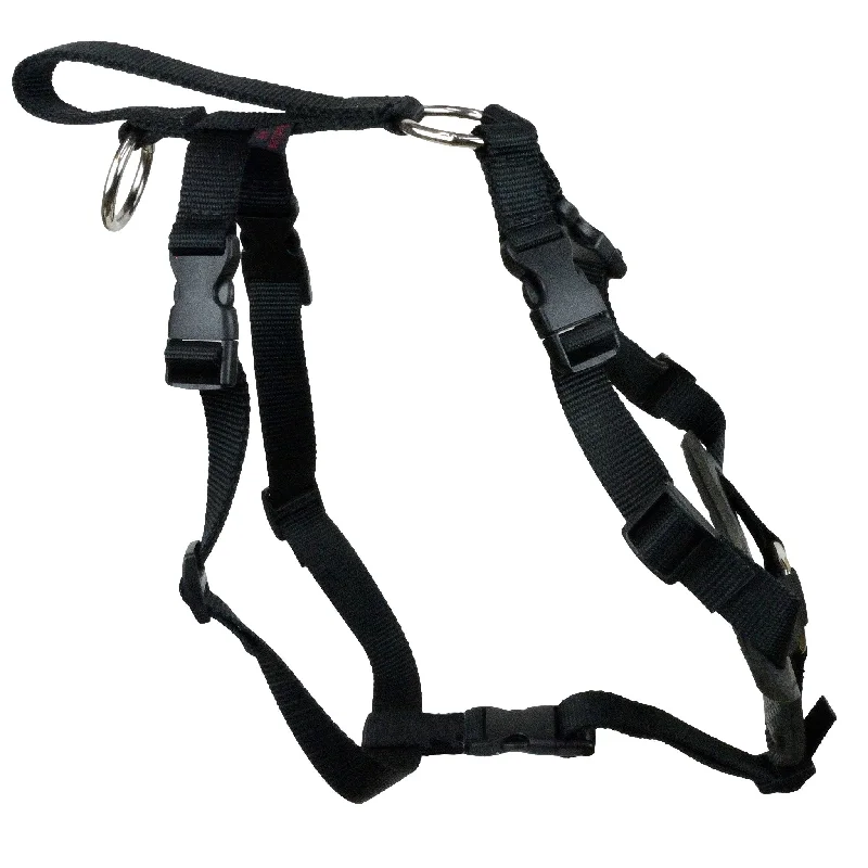 - Organic cotton dog bibsNylon and Leather Harness