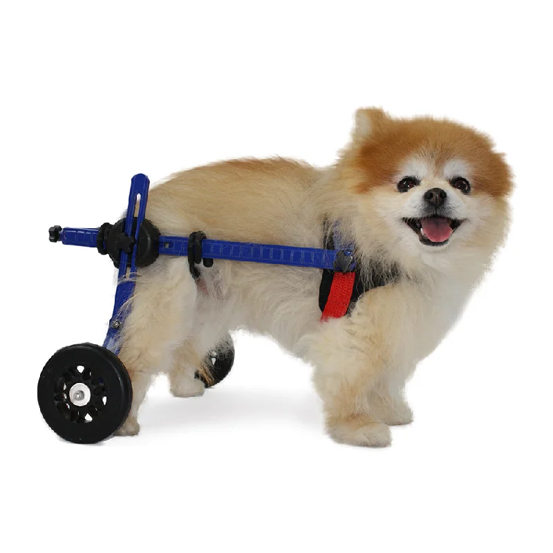 - Dog anti-slip matWalkin' Wheels Mini Wheelchair (2-10lbs)