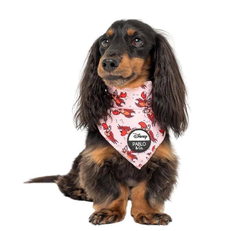 ---The Little Mermaid - Sebastian: Dog Bandana