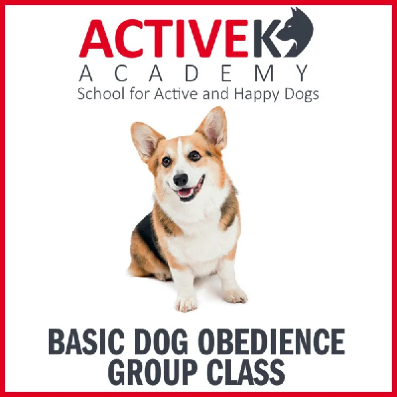 - Automatic induction pet water dispenserActive K9 Academy Basic Dog Obedience Group Class