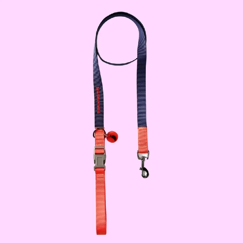 - Parrot climbing and standing wooden frameSonia Dog Leash Vermillion and Cherry