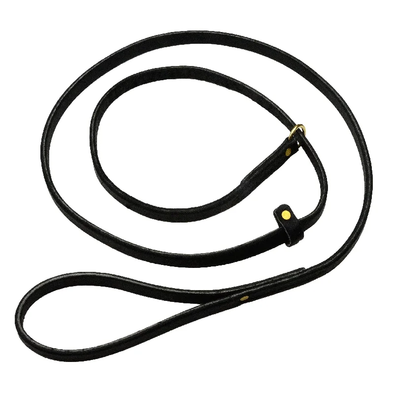 Pet ProductsUltra Leather Slip Leash