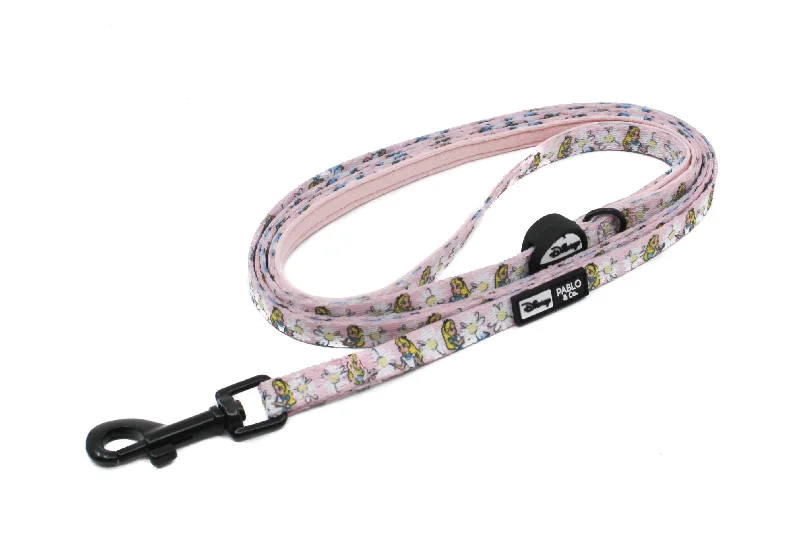 - Pet monitor with cameraAlice in Wonderland: Cat Leash