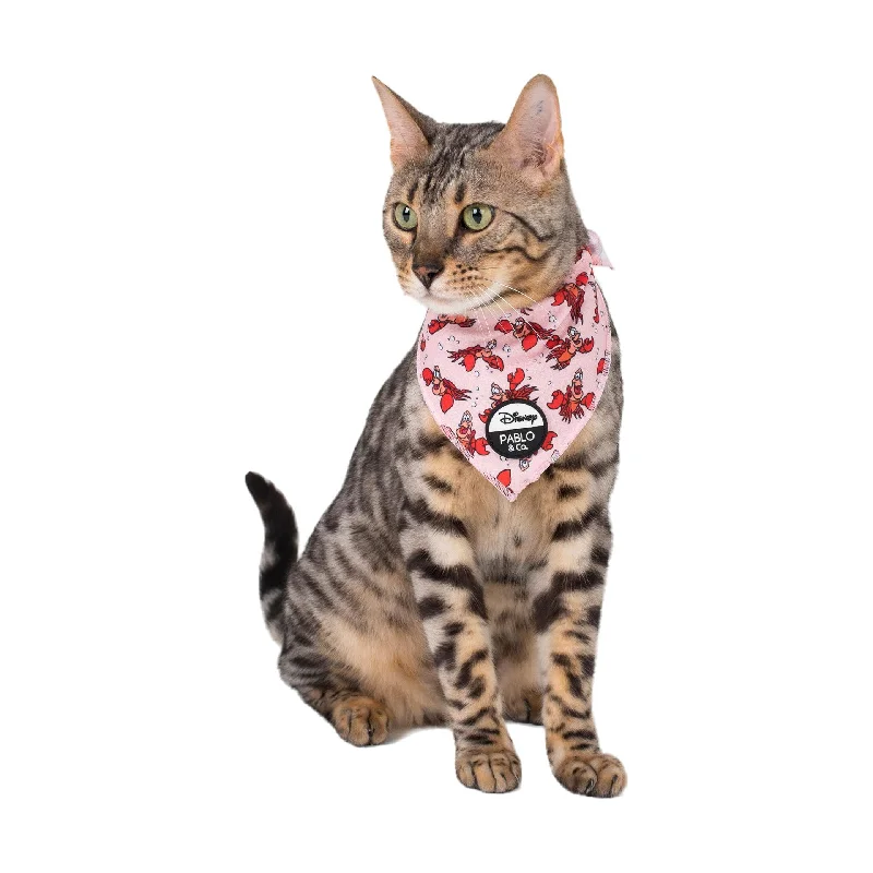 - Natural latex pet mattressThe Little Mermaid - Sebastian: Cat Bandana