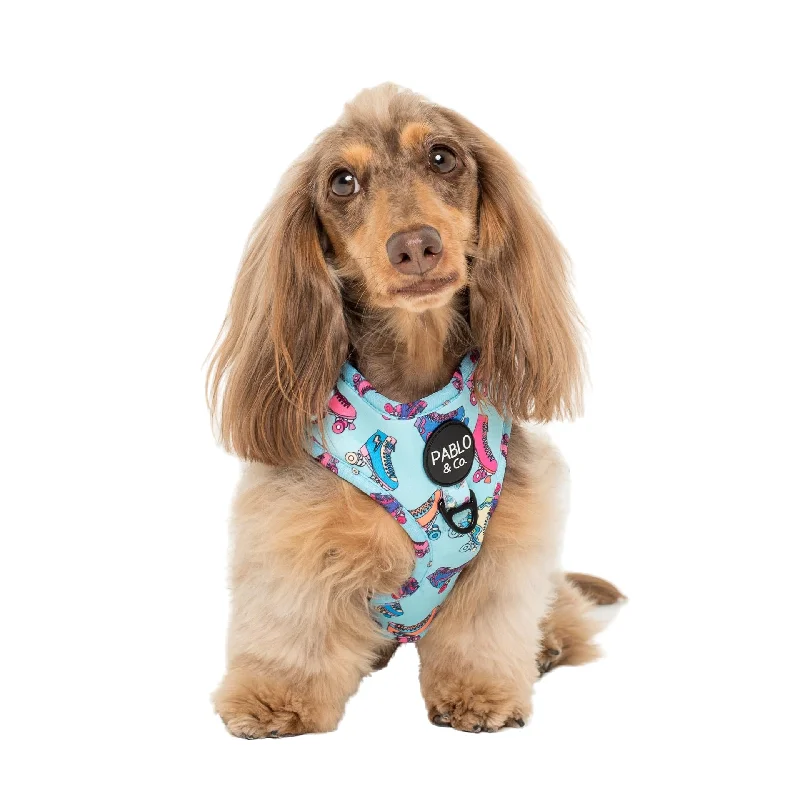 - ​​Pet toys under    yuanRoller Skates: Adjustable Harness