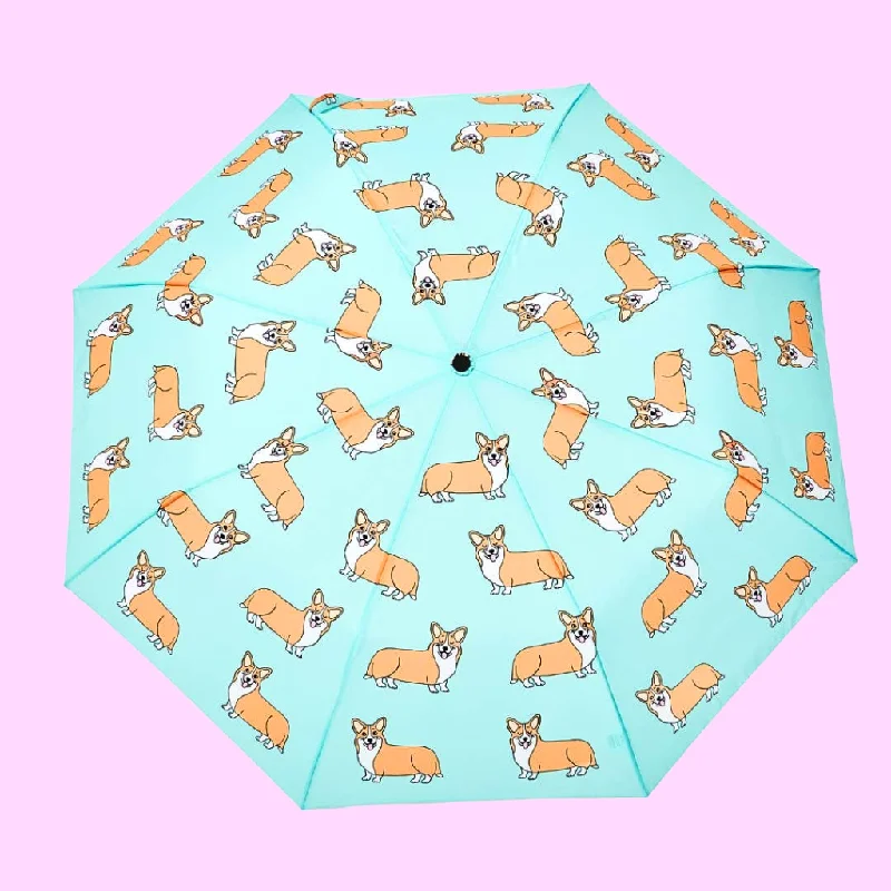 - Pregnant cat delivery room warming boxCorgi Mint Eco-friendly Umbrella