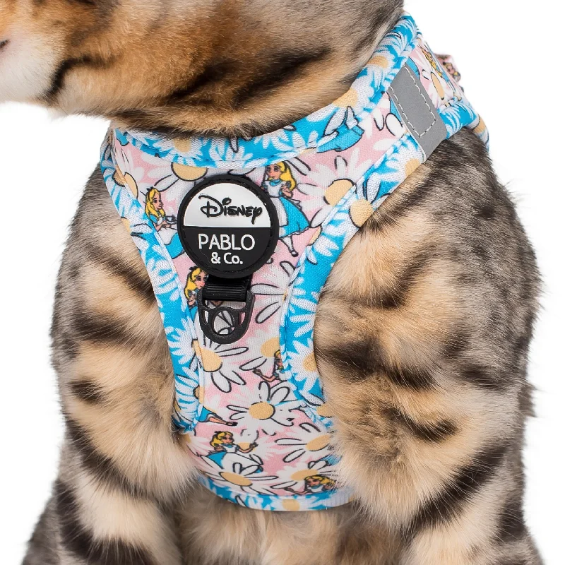 - Natural latex pet mattressAlice in Wonderland: Step In Cat Harness