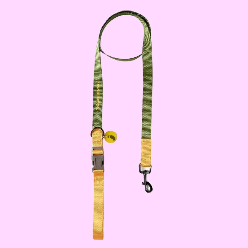 - Pet tear stain cleaning wipesSonia Dog Leash Mimosa and Moss