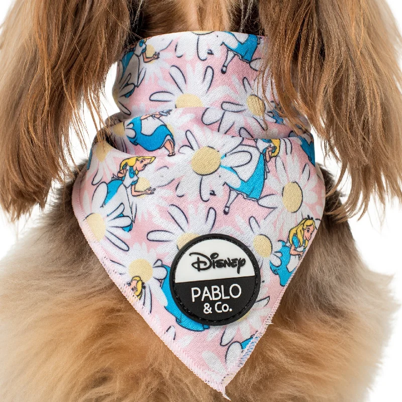 - Pet tear stain cleaning wipesAlice in Wonderland: Dog Bandana