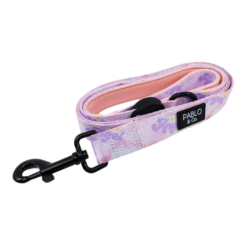  -Explosion-proof leash FOR LARGE dogsAngel: Dog Leash