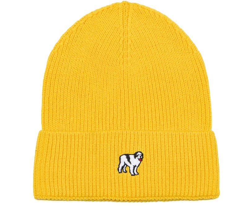 - Pet vitamin complex nutrition tabletsIcon Beanie