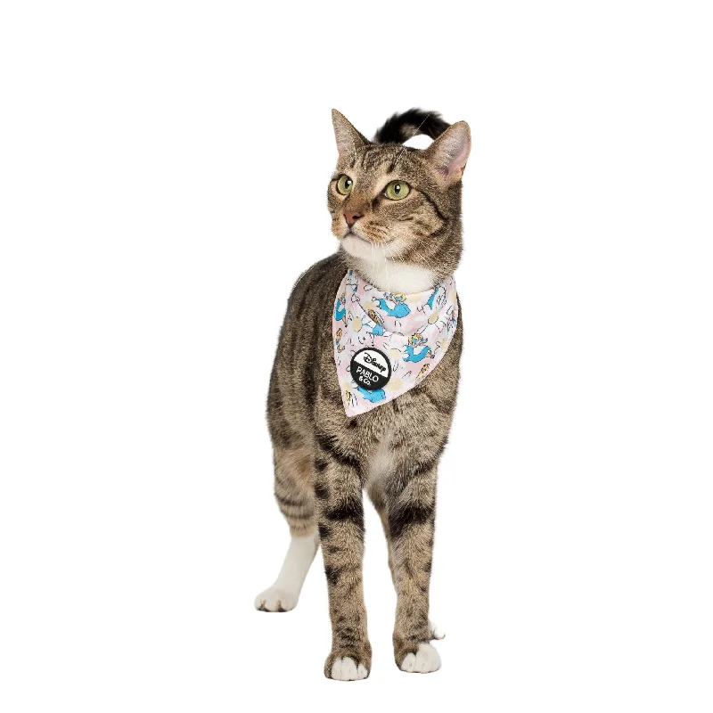 - Dog heart rate monitoring collarAlice in Wonderland: Cat Bandana