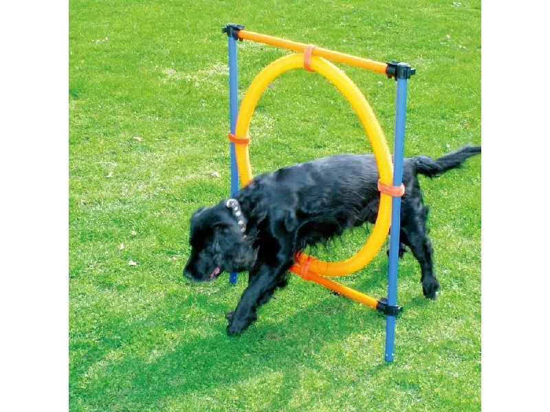 - Winter warm clothes for short-haired dogsPAWISE  Agility Ring