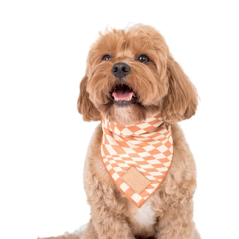 - Pet smart GPS locatorBrown Check Check - Bandana