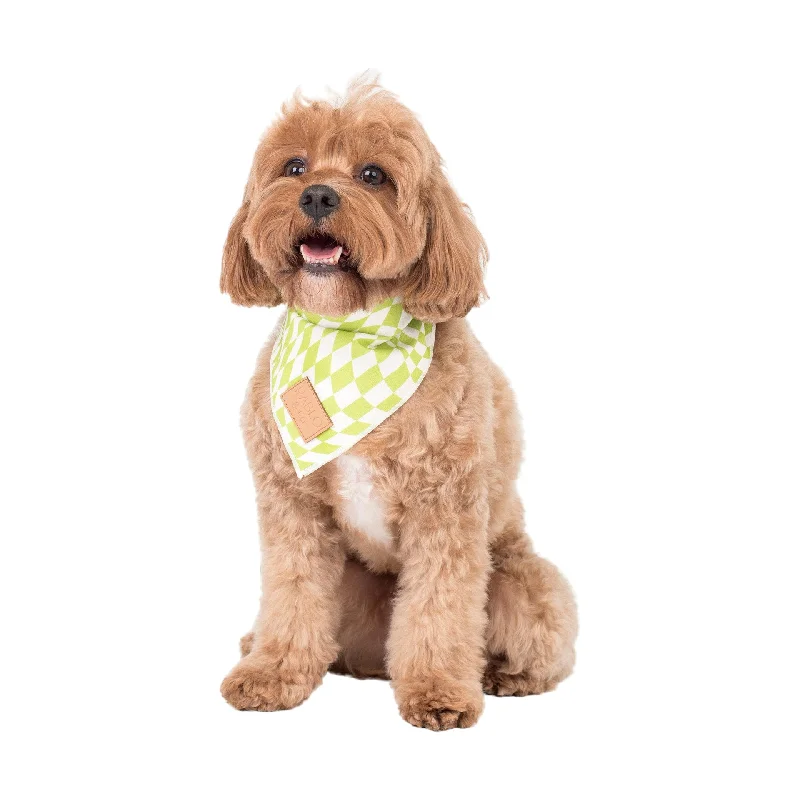 - Dog disposable foam shower gelLime Check Check - Bandana