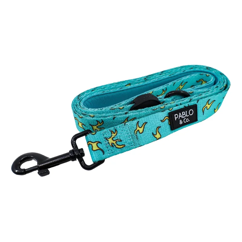 - ​​Pet toys under    yuan90's Flames: Dog Leash