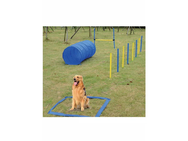 - Winter dog thick down jacketPAWISE  dog training set