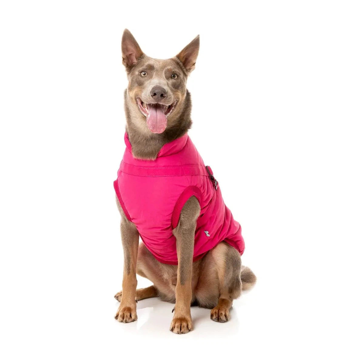 Pet Halloween clothesFuzzYard | Flash Jacket - Magenta