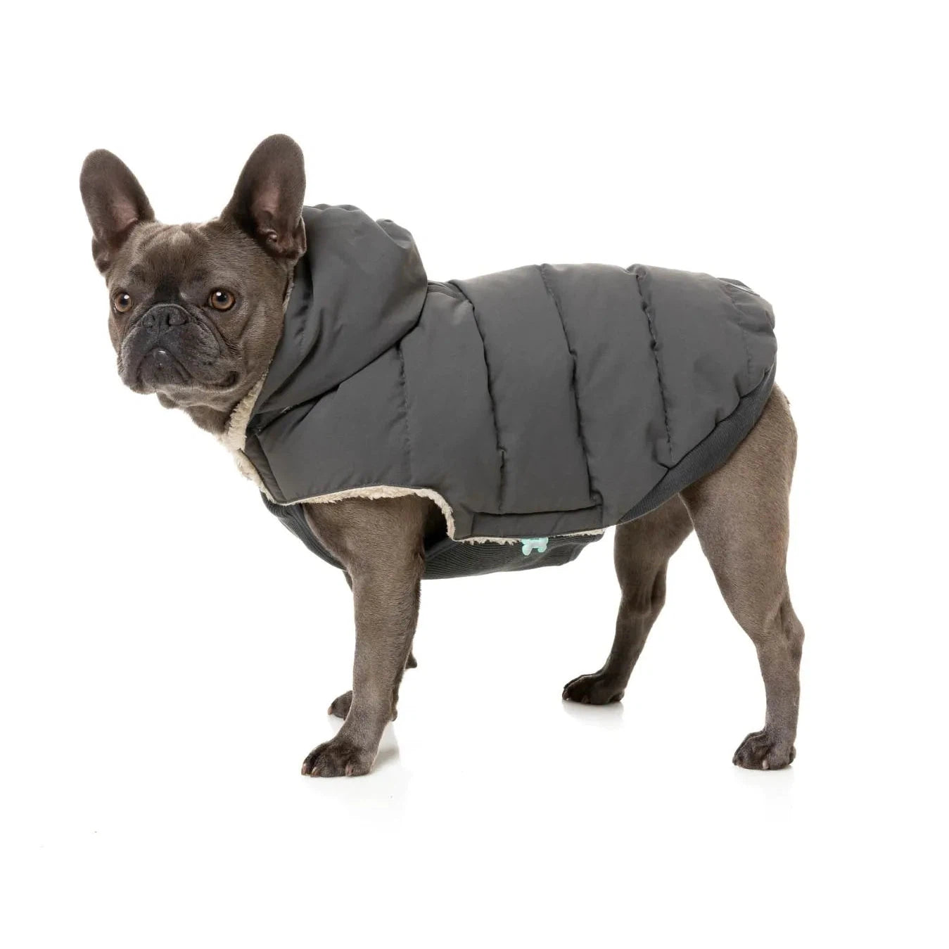 Pet custom clothesFuzzYard | Essential Puffer Jacket - Charcoal