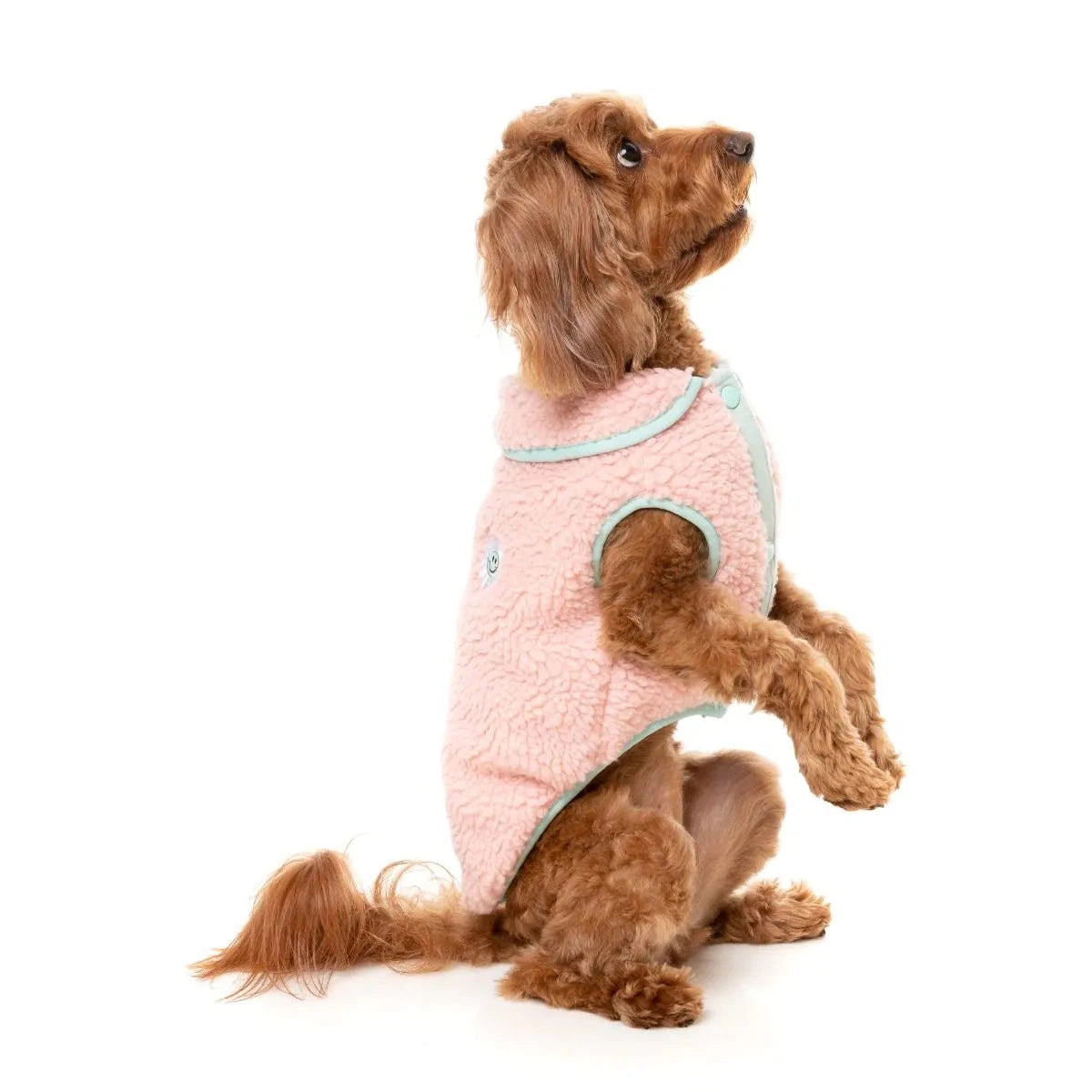 Non-toxic pet clothesFuzzYard | Hana Jacket - Pink